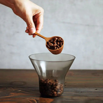 Kinto SCS Coffee Measuring Spoon