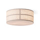 Audo Hashira Ceiling Light — packshot, lit