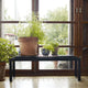 Skagerak Cutter Bench in Black Coloured Oak — lifestyle