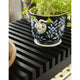 Skagerak Cutter Bench in Black Coloured Oak — lifestyle view 3