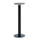 HAY Host Portable Table Lamp 300 in Anthracite — packshot