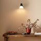 Anglepoise Type 80 W4 Wall Light in Matte Black Opal Glass — lifestyle