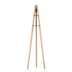 Artek Kiila Coat Stand in Natural Ash, Black Hooks — packshot