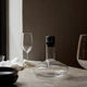 Audo Wine Breather Carafe Deluxe in Clear/Steel — lifestyle