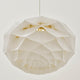 Carl Hansen OS111 Begonya Pendant Light D500mm — studio