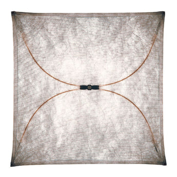 Flos Ariette Wall / Ceiling Light