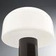 Flos Bellhop Glass T Table Light in Cioko — studio shade detail