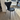 Fritz Hansen 3107 Series 7 Dining chair, front upholstered in black essential leather and black ash frame and black lacquered legs in Innes showroom on oak floor