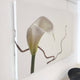 Innes Cala Lily 40x30in Canvas Print — packshot, detail