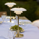 Louis Poulsen PH 2/1 Portable Table Lamp in Brass Metallised — lifestyle