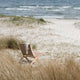 Carl Hansen MG501 Cuba Chair Outdoor in Teak, Sesame — lifestyle