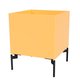 Montana Colour Box I in Acacia with Black legs — packshot