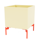 Montana Colour Box I in Camomile with Rosehip legs — packshot