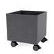 Montana Colour Box I in Coal with castors — packshot
