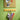 Montana Coat Racks 6 Hooks in Acacia — lifestyle, with Montana Notice Board in Cumin