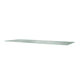 Montana Panton Wire Inlay Shelf Double D25.7cm clear glass perspective view