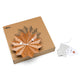 Vitra Fan Wall Clock in Cherry — packshot, with packaging