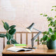 Anglepoise 90 Mini Mini Desk Lamp in Kelp Green — lifestyle, home office