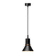 Anglepoise Type 80 Pendant Light in Matte Black — packshot