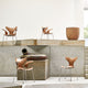 Fritz Hansen 3208 Lily Armchair and 3108 Lily Chair in Walnut veneer — studio, group on stone steps