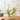 Fritz Hansen Ikebana Vase Long Stainless Steel — lifestyle, floral arrangement on dining table
