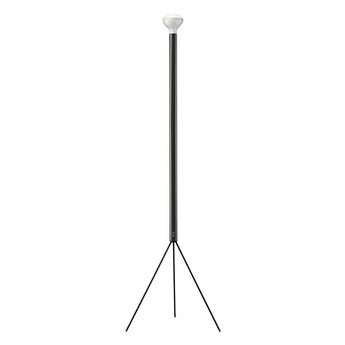 Flos Luminator Floor Lamp