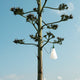 Flos MayDay Outdoor Lamp — lifestyle