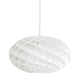 Louis Poulsen Patera Oval Pendant Light — packshot, light off