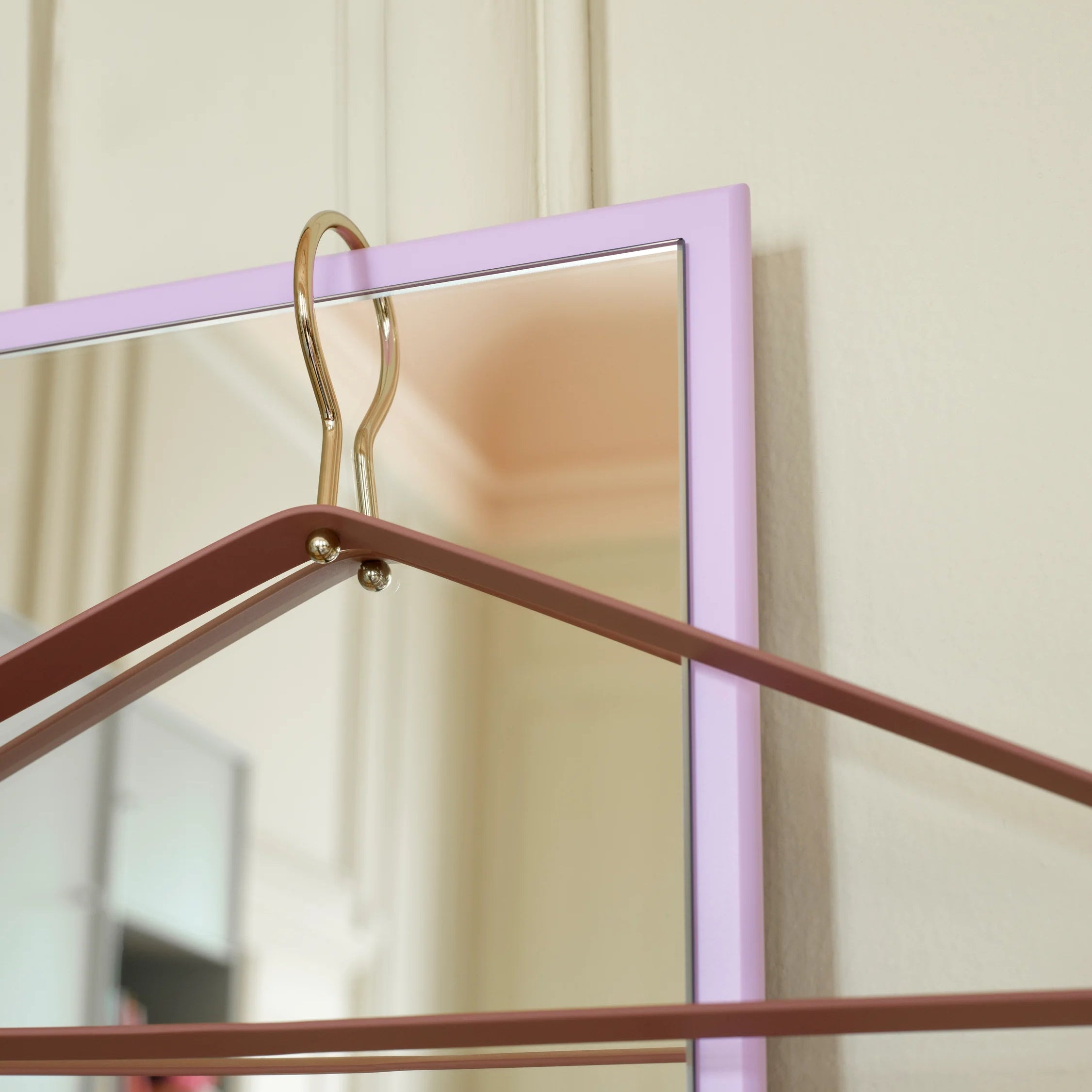 Pink hanger with a gold hook on a blurred background