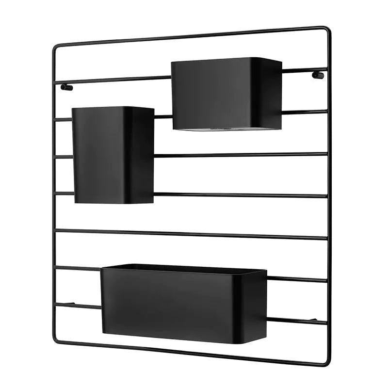 String + Organisers (x3) – Innes