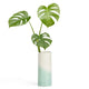 Vitra Herringbone Vessels Vase Plain in Mint — studio, detail